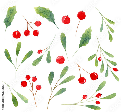 Obraz na płótnie Tree twigs and berries hand drawn illustrations set w salonie