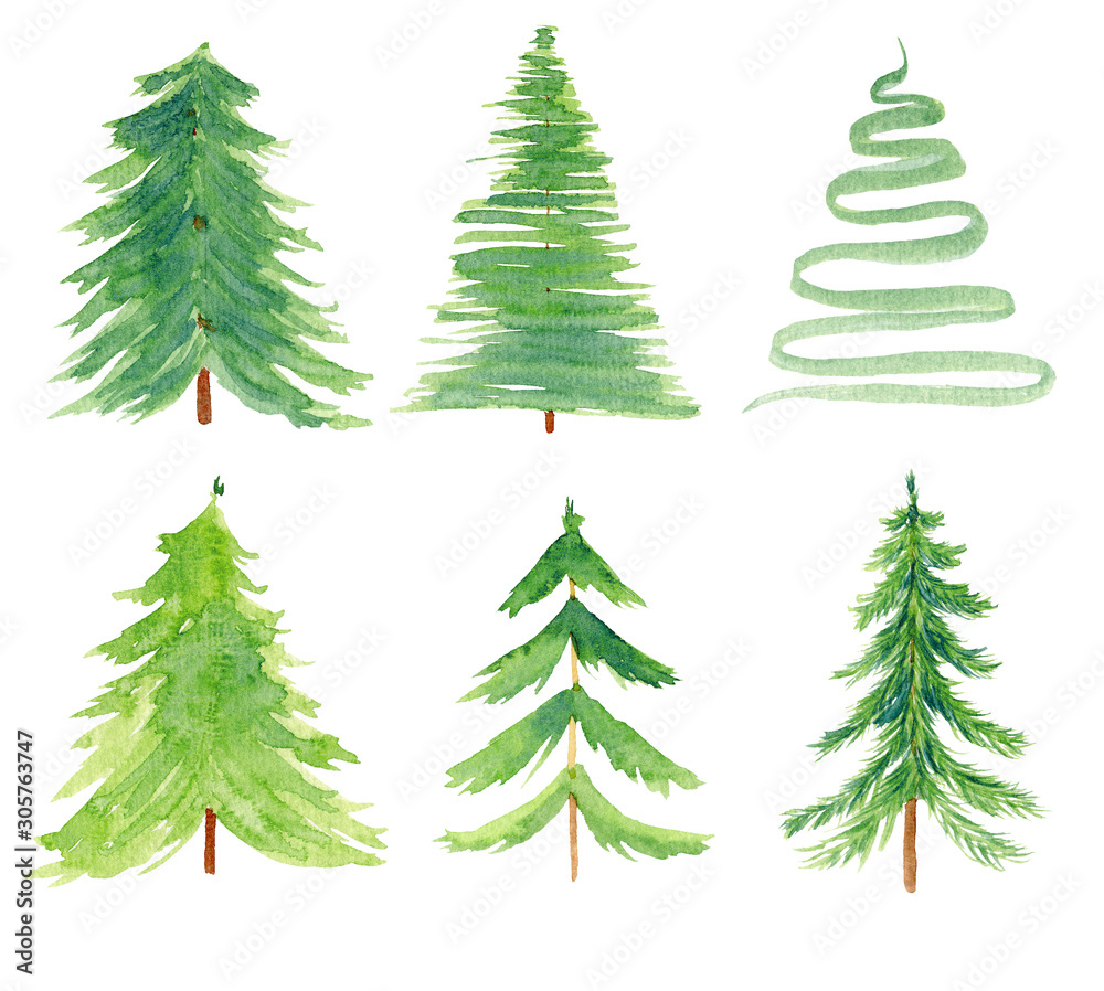Pine simple watercolor hand drawn illustrations set