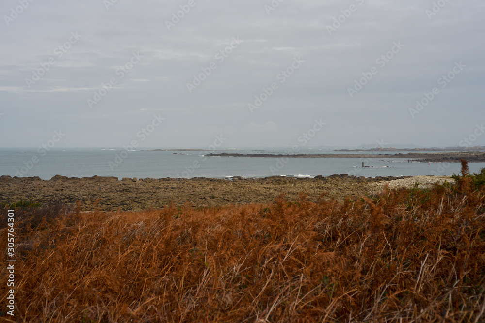 Site naturel protégé, Réserve L.PO, Castel Erek, Ile Grande, Pleumeur Bodou, 22, Côtes d'armor Site naturel protégé, Réserve L.PO, Castel Erek, Ile Grande, Pleumeur Bodou, 22, Côtes d'armor