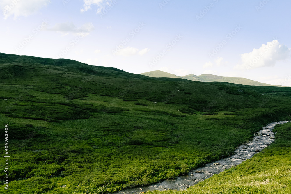 River in green hills. Swift stream in green meadow