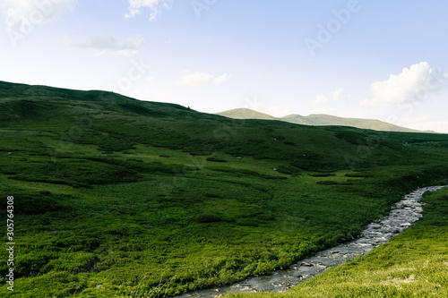 River in green hills. Swift stream in green meadow