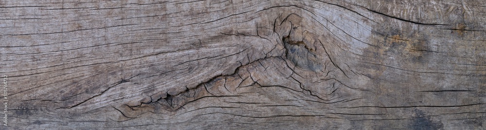Old wood texture background empty for design Old wood texture background empty for design