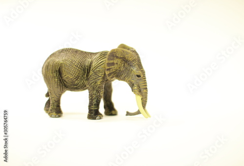 Animal models concept. The figure of an elephant on white background.