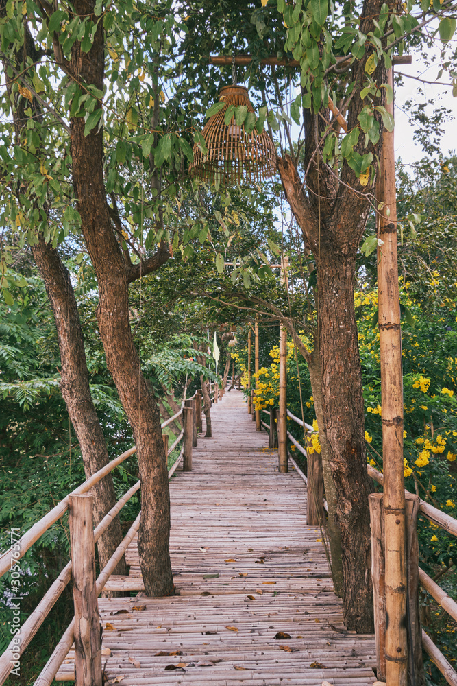Bamboo bridge walkway in natural landscape outdoor