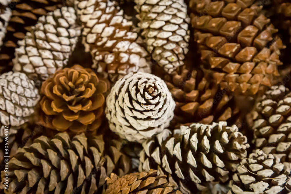 Looking down on decorative christmas pine cones Looking down on decorative christmas pine cones