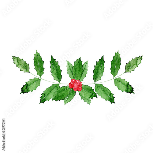 Watercolor holly plant for christmas design. photo
