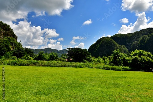 Fototapeta Naklejka Na Ścianę i Meble -  Viñales Valley in Pinar del Rio, leafy valley where tobacco and coffee are grown