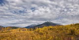 panoramic autumn landscape in the mountains, mountain peaks in the snow, on the blue sky wavy white clouds, trees in the forest with yellow leaves