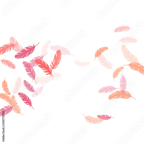 Flying feather elements airy vector design.