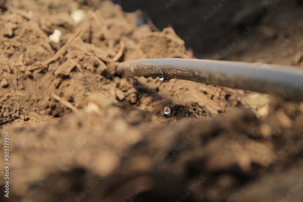 water pipe in dry field with drop water pipe in dry field with drop