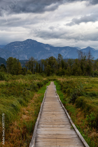Wooden walking path on One Mile Lake with green vibrant plants and leafs. Picture taken in Pemberton, British Columbia (BC), Canada, on a cloudy summer day.