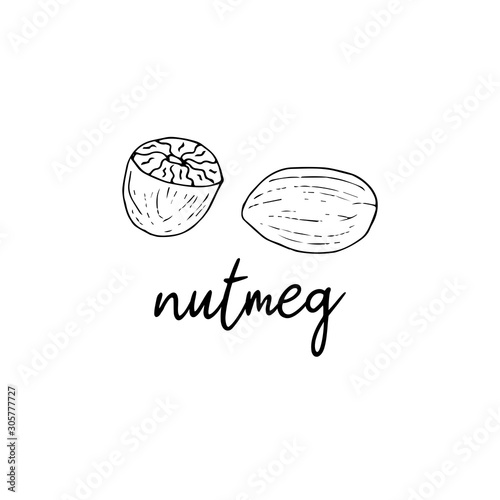 Nutmeg spice in the style of doodle. Isolated food illustration with the inscription. Black and white vector