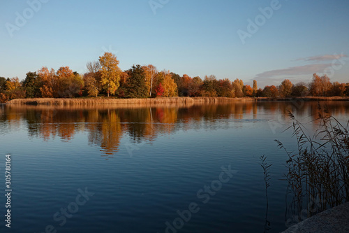 Fototapeta Naklejka Na Ścianę i Meble -  lake with calm water mirror a forest by autumn