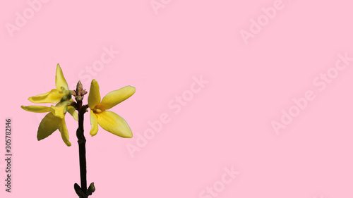 pinwheel on background