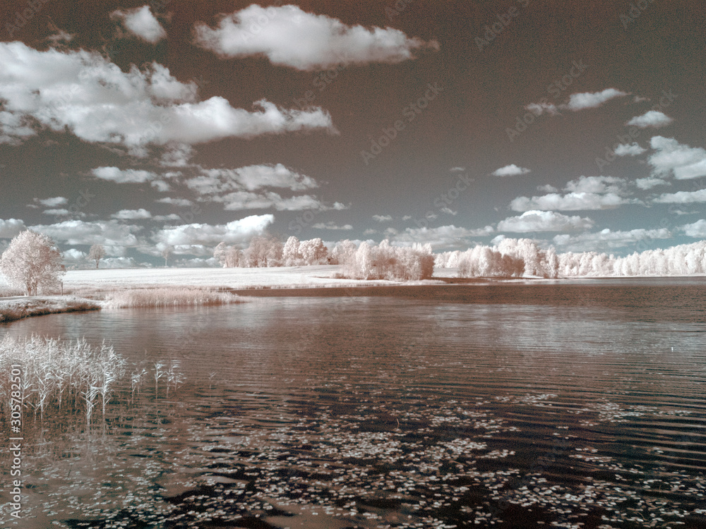surreal false color infra red summer landscape of lake and trees