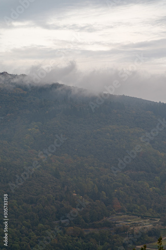 Montaña boscosa nublada