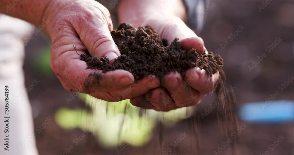 Close-up cropped view of farmers hands checking the quality of soil before planting vegetables