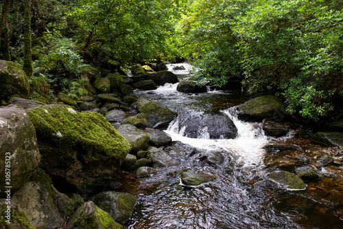 Arroyo en el Parque Nacional Killarney  Irlanda