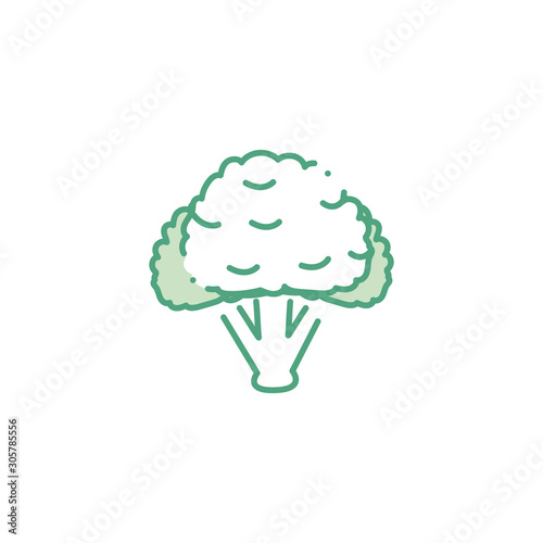 vegetable cauliflower fill style icon