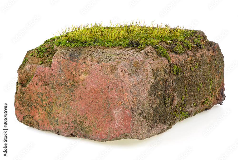 Moss on the old red brick isolated on a white background Moss on the old red brick isolated on a white background