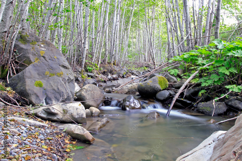 Flowing Creek