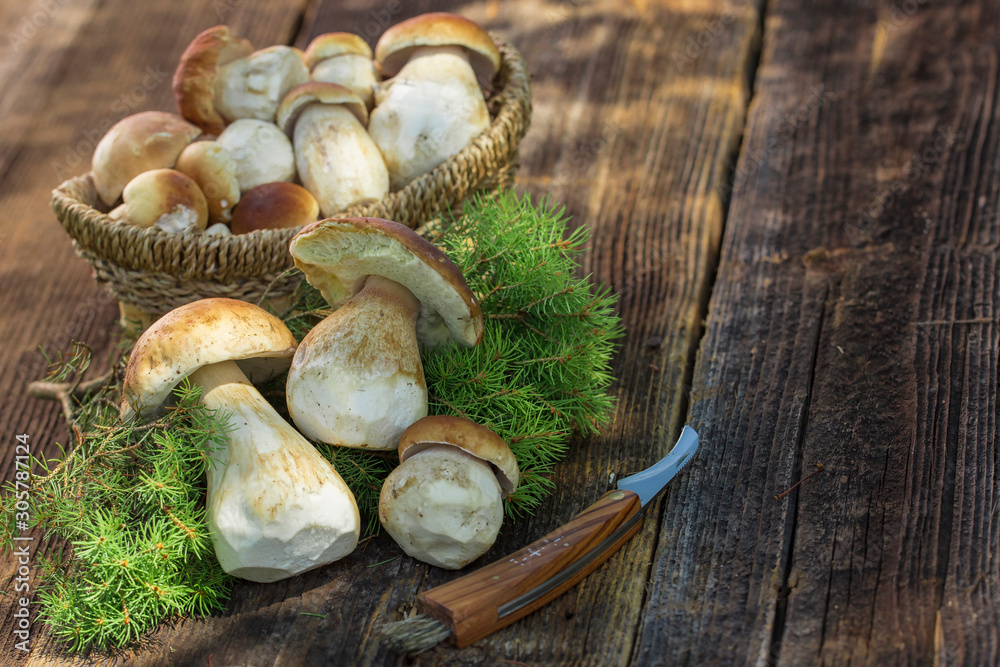 Organic food concept with fresh mushrooms on dark wooden table
