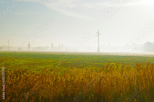 sunset over wheat field