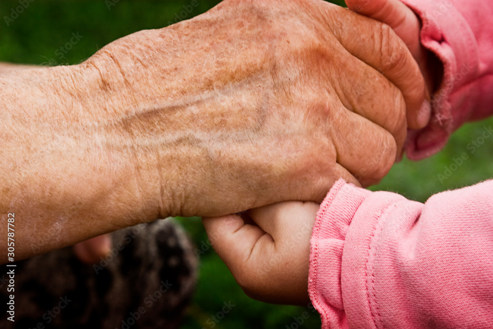 Hands of a child holding the hand of an old grandmother close-up.