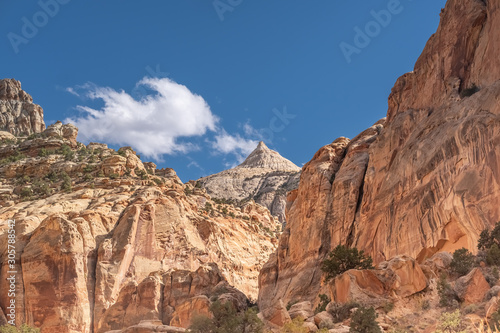 Capitol Reef National Park  south-central Utah  USA