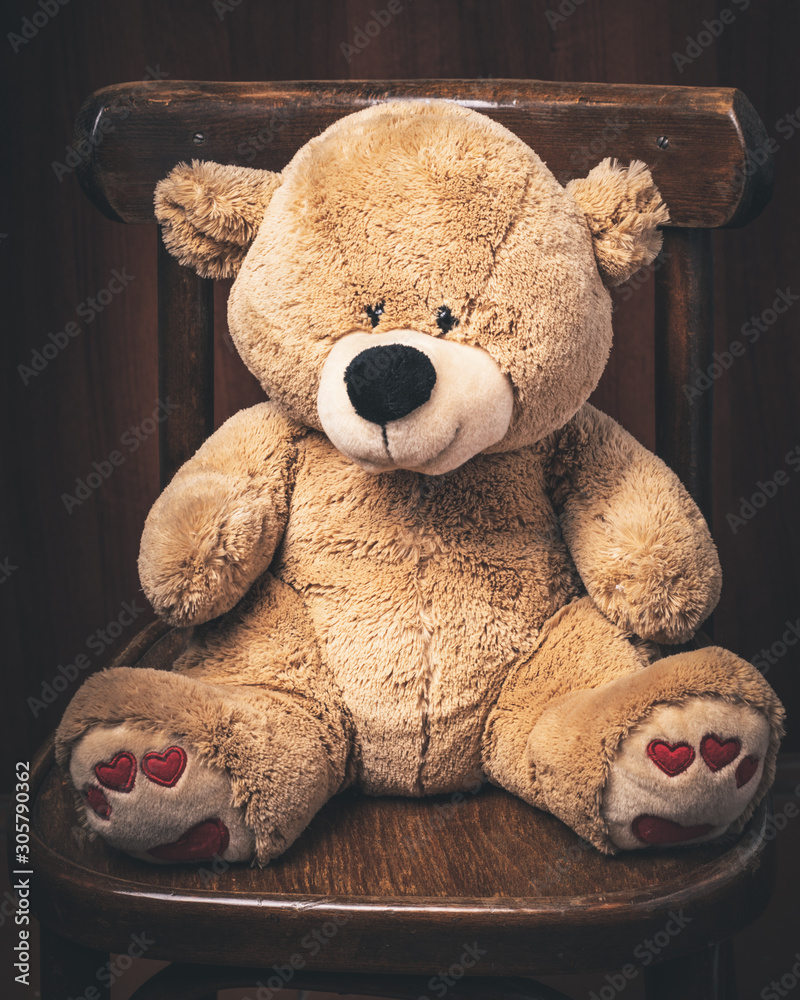 Teddy bear cheap sitting
