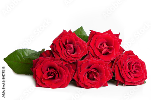 Fresh red roses on a white isolated background.  Beautiful flowers.