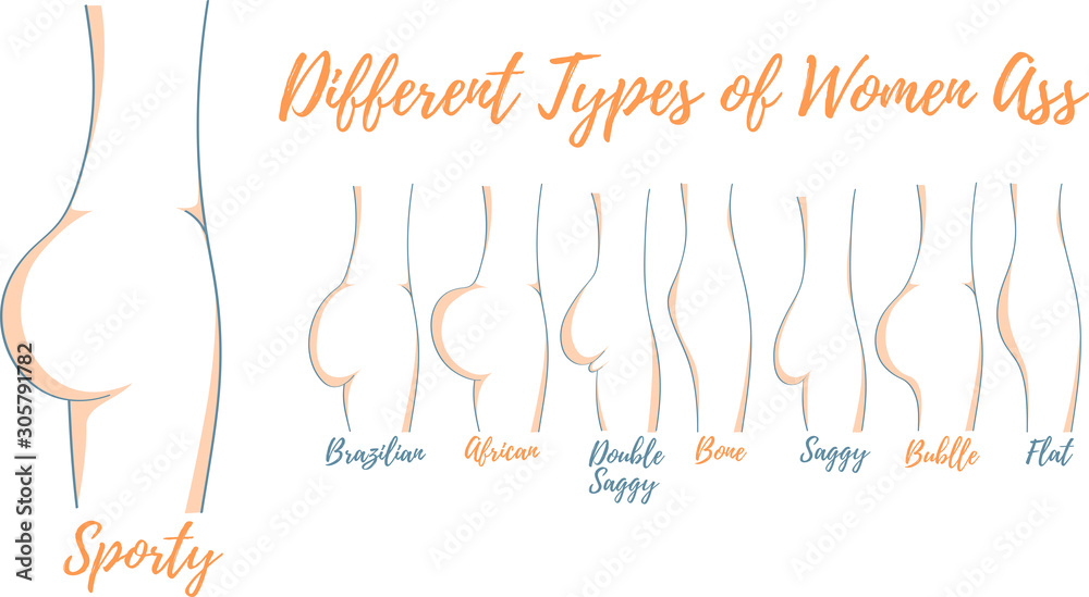 Different types of women ass vector illustration Stock Vector | Adobe Stock