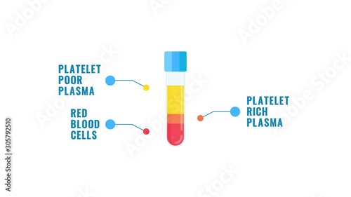 PRP blood structure infographics animation with a tube