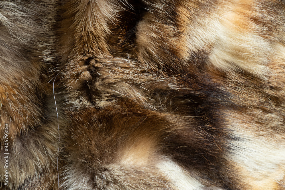 natural combination fur as background - obrazy, fototapety, plakaty 