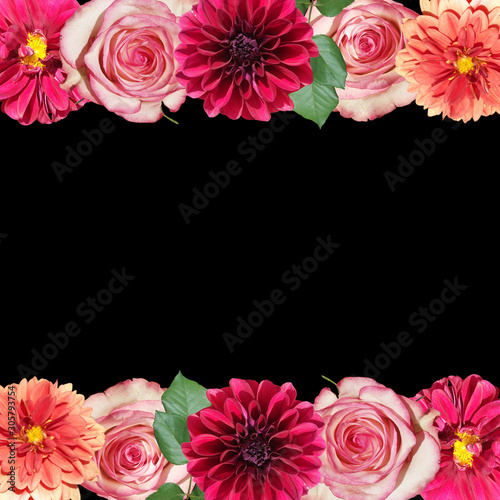 Beautiful floral background of dahlias and roses. Isolated