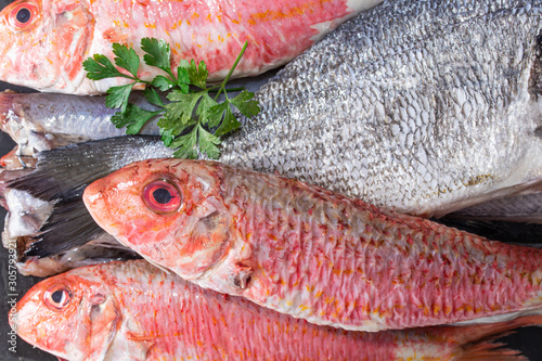 background of fresh natural fish, salmon and dorado