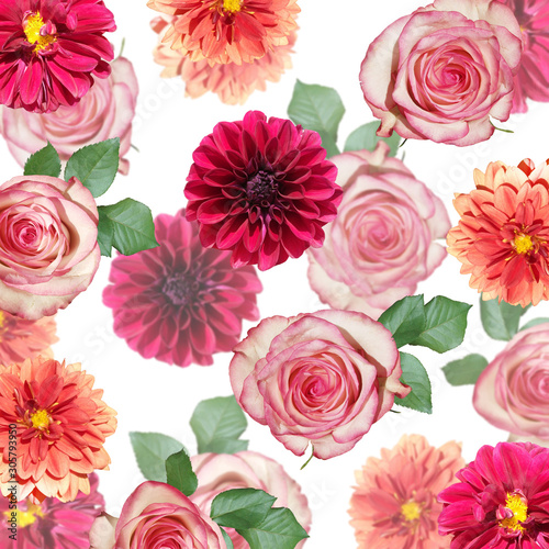 Beautiful floral background of dahlias and roses. Isolated