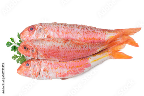 fresh natural fish isolated on white, salmon or mullets