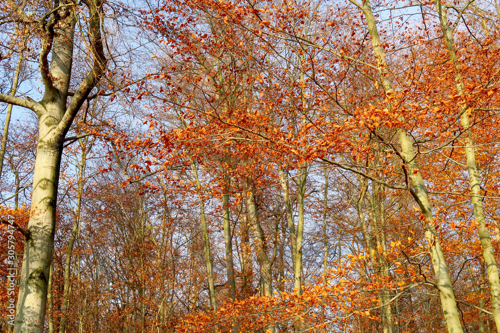 Herbstzeit