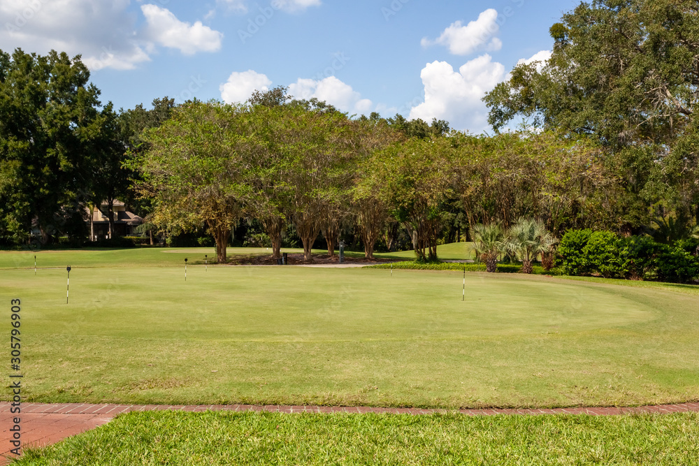 Beautiful day on a golf course