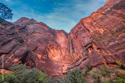 The stunning red cliffs of the Amphitheater  Zion National Park  Springdale  Utah  USA