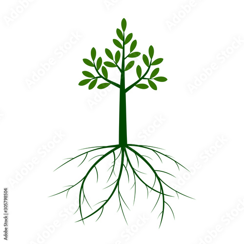 Green shape Tree and Icon. Vector outline Illustration.