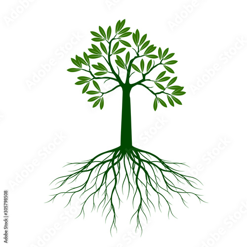 Green shape Tree and Icon. Vector outline Illustration.