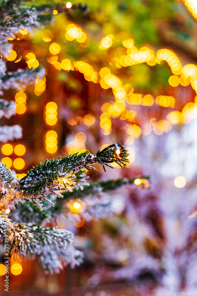 Obraz premium Christmas background: tree branch in snow, lights bokeh