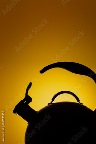 Close-up photo of stainless steel kettle over yellow background.