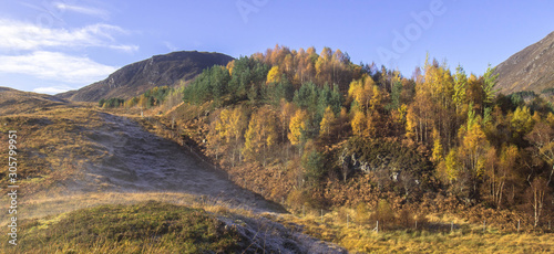 Strathconon frost on reafforestation. © Anthony