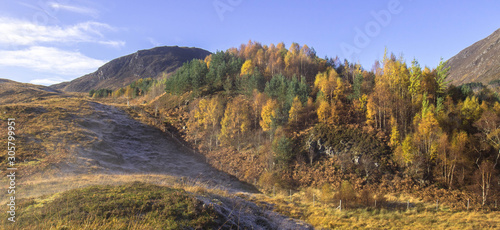 Strathconon frost on reafforestation. photo