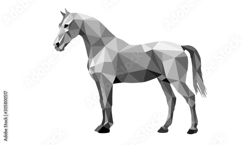 horse  isolated  image on white background in low poly style