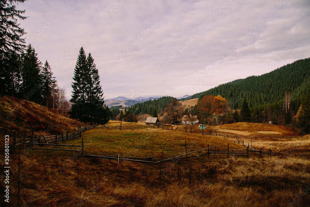 Obraz premium Amazing mountain lanscape in the wild Carpathians
