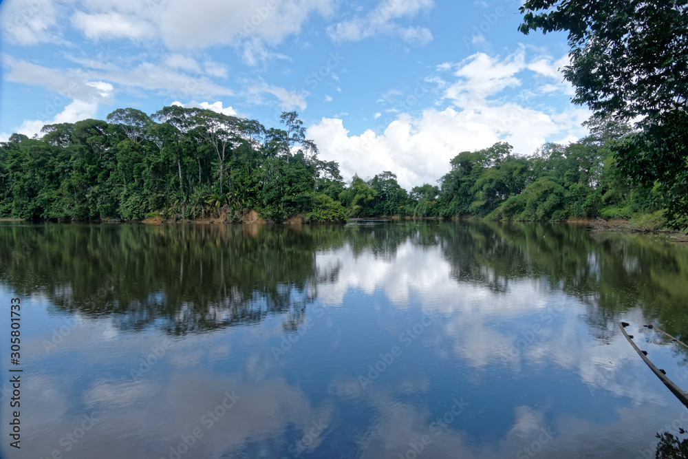 Rivière La Comté vu du bourg de Cacao, commune de Régina en Guyane française